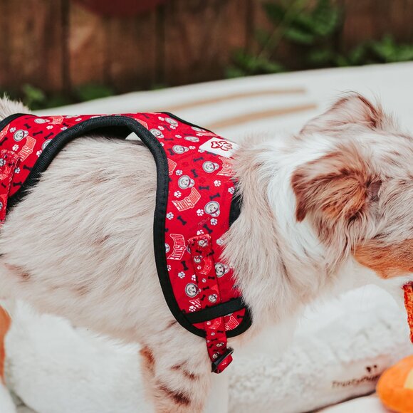 Ohio State Brutus Buckeye Pet Harness - Picture 10 of 16